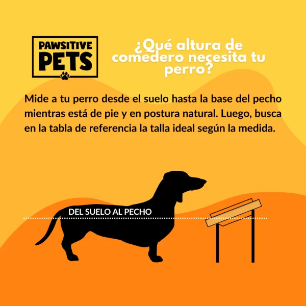 Comedero Mascota Anti Ansiedad de Madera Elevado para Perros 12 cm de Altura. - Imagen 4