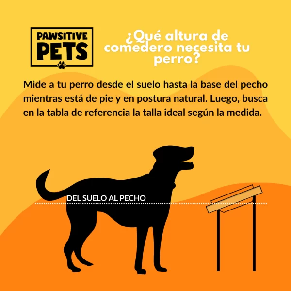 Comedero Bebedero Mascota Doble en Altura para Perros – 20 cm de Altura. - Imagen 4