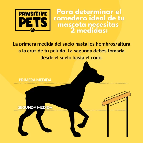 Bebedero Comedero Doble de Madera en Altura para Perros Grandes 40 cm. - Imagen 4