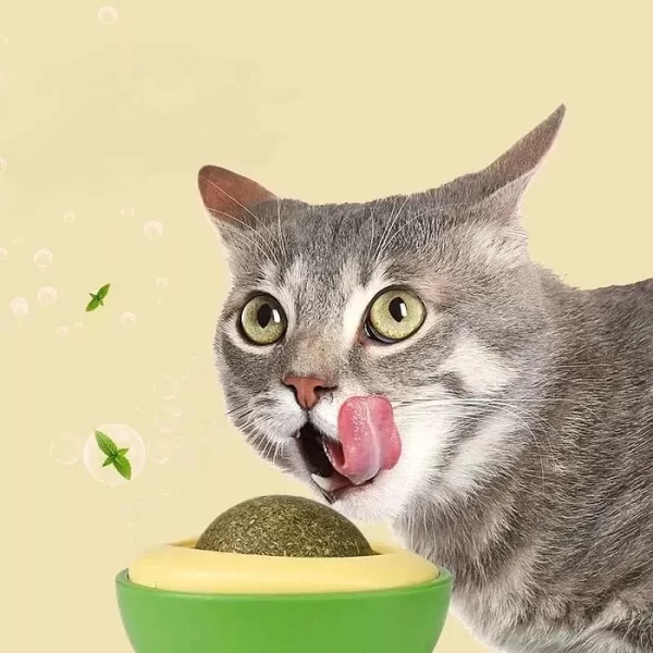 Bola de Hierba Menta Gatera Catnip en forma de Palta para Gato.