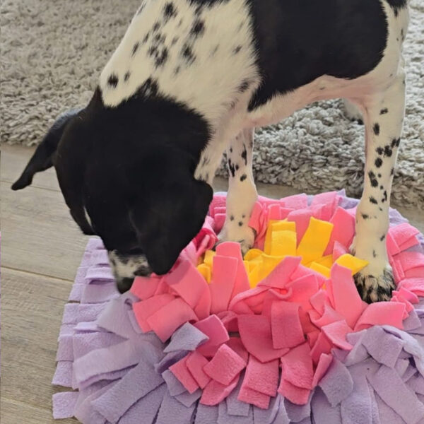 Alfombra Olfativa para Perros Gatos Conejos Hurones Cuyes y otros roedores - Imagen 3