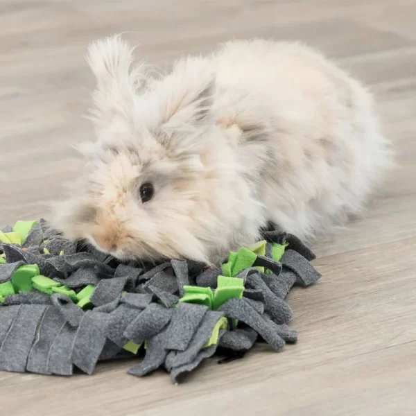 Alfombra Olfativa para Perros Gatos Conejos Hurones Cuyes y otros roedores - Imagen 2