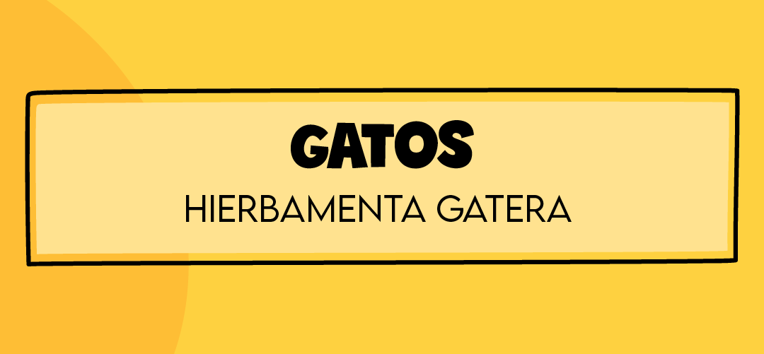 ¿Qué es la Hierba Menta Gatera y cómo se puede usar?