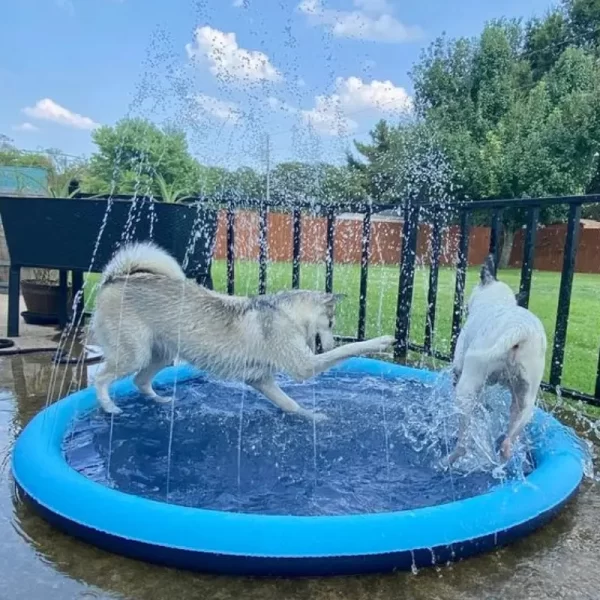 Piscina con Aspersor de Agua para Refrescar a tu Mascotas