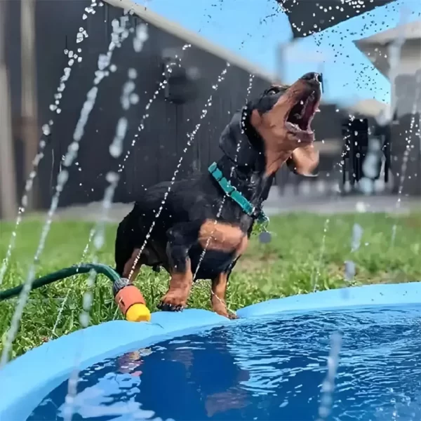 Piscina con Aspersor de Agua para Refrescar a tu Mascotas - Imagen 2