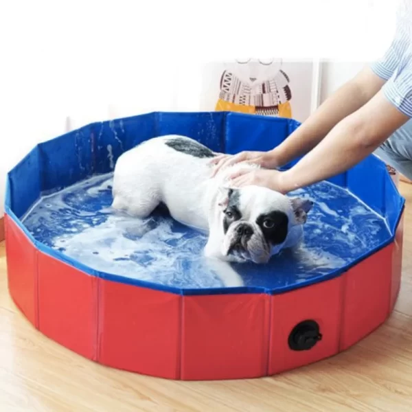 Piscina para Perros Niños y Mascotas