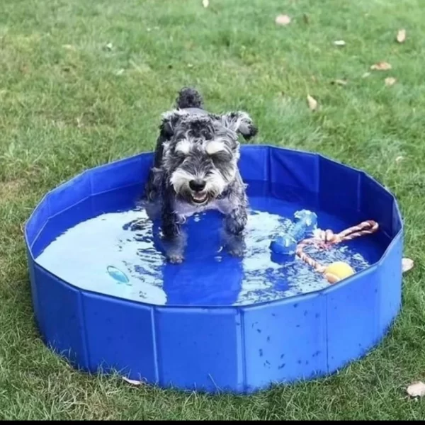 Piscina para Perros Niños y Mascotas - Imagen 2