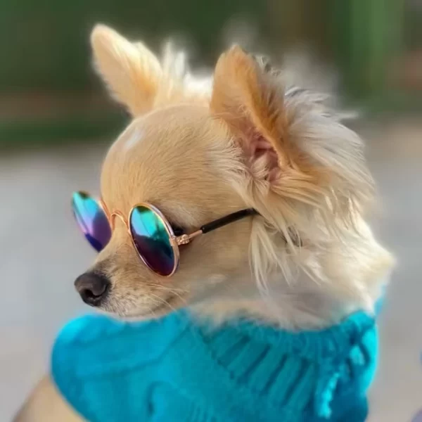 Lentes de Sol para Gatos y Perros Cachorros - Imagen 2