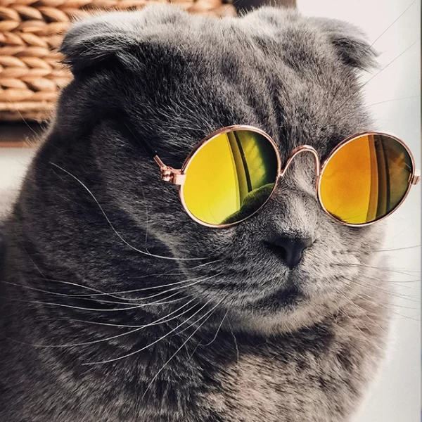 Lentes de Sol para Gatos y Perros Cachorros - Imagen 3