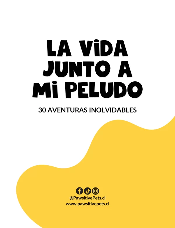 Álbum de fotos - La vida junto a mi peludo – 30 aventuras inolvidables. - Imagen 4