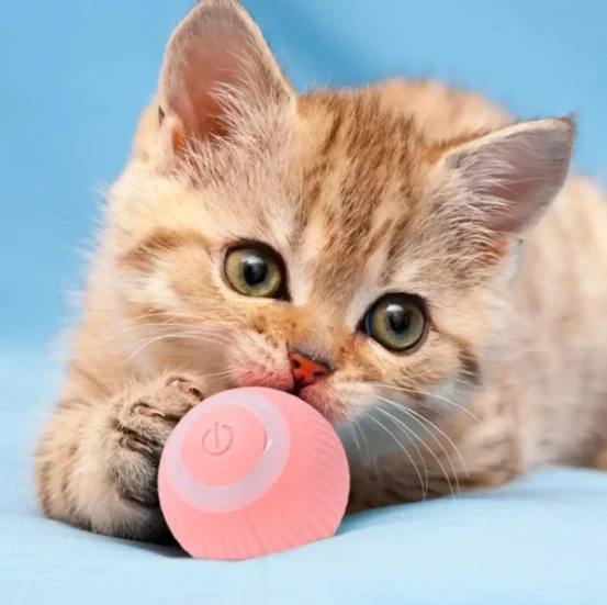 Pelota Viral Automática con Luces para Gatos y Perros - Imagen 2